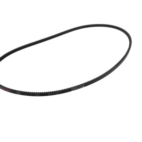 Picture of Lennox Belt Part# 47W81