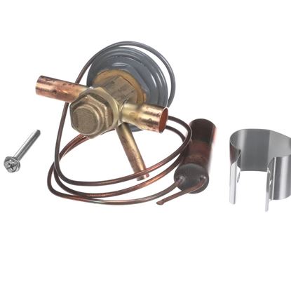 Picture of Lennox R-410a Expansion Valve Part# 60M99