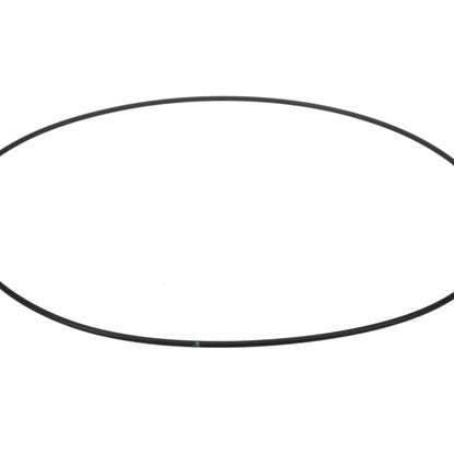 Picture of Trane O'ring Part# RNG00408