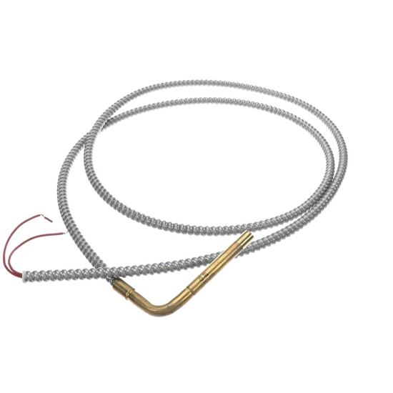 Picture of Trane Heater; Crankcase, 150W, 120V Part# HTR02444