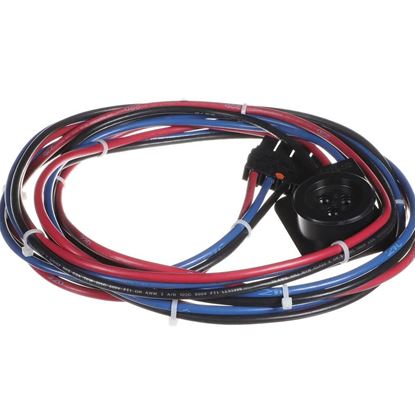 Picture of Trane Wire, Harness, Compressor Power - Circuit 2 Part# WIR08285