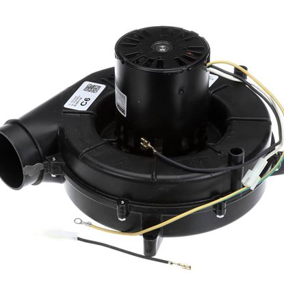 Picture of Trane Blower; Inducer Draft, 1-Stage, Ball Bearing Part# BLW01138