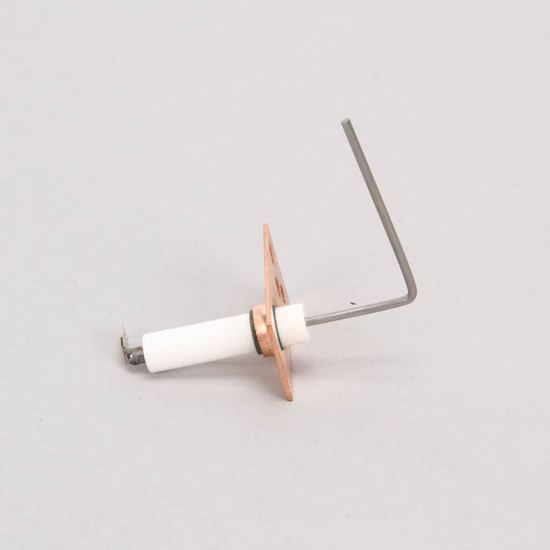 Picture of Trane Sensor, Flame Part# SEN00297