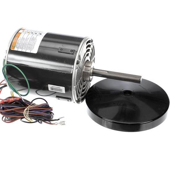 Picture of Trane Motor, 1 Hp, 208-230/200V, 48 Part# MOT18819