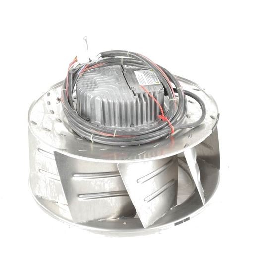 Picture of Trane Fan; Indoor Fan/blower Assembly Part# FAN04606