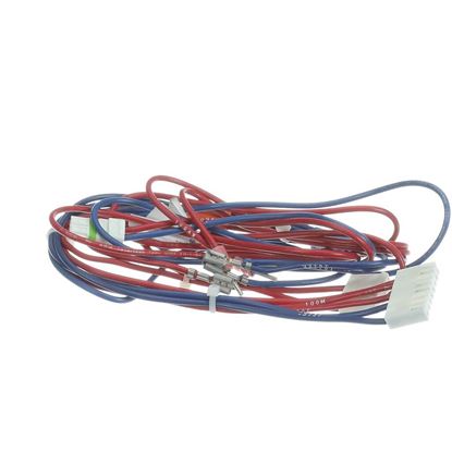 Picture of Trane Wire Harness C/d Cab Cntls 2 Stage C Part# WIR09265
