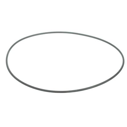 Picture of Carrier O-ring Part# KK71EW263