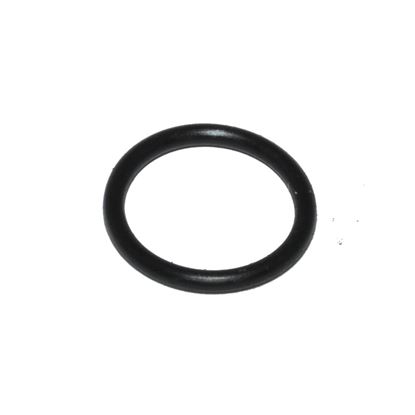 Picture of Carrier O-ring Part# KK71EW015