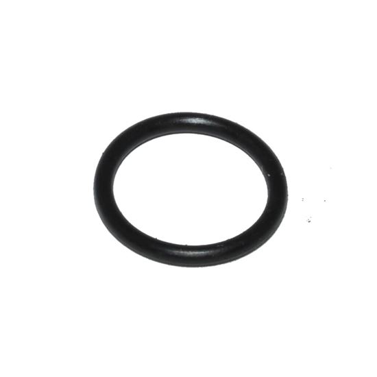 Picture of Carrier O-ring Part# KK71EW015