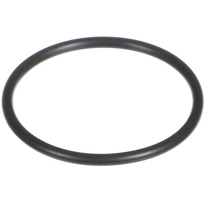 Picture of Carrier Term Plate O-ring Part# KK71EW128