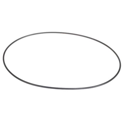 Picture of Carrier O-ring Part# KK71EW165