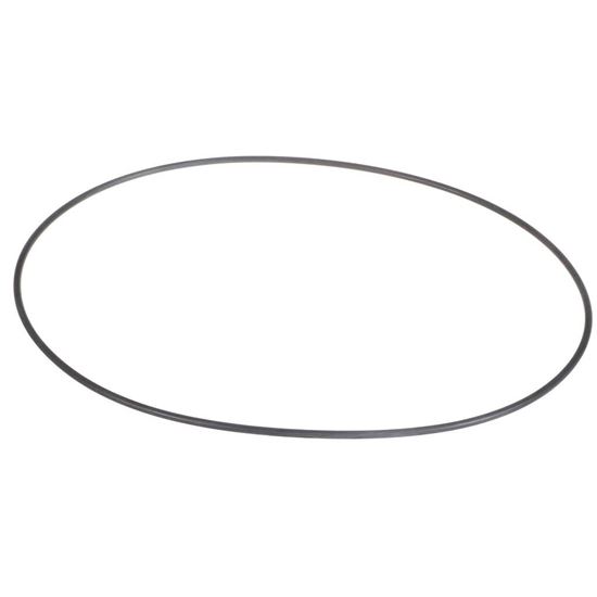 Picture of Carrier O-ring Part# KK71EW165