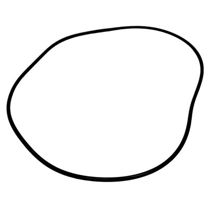 Picture of Carrier Oil Pump O-ring Part# KK71EW268