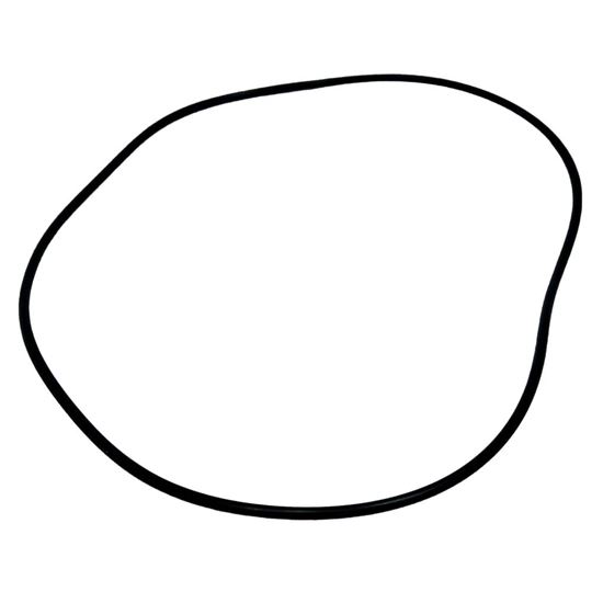 Picture of Carrier Oil Pump O-ring Part# KK71EW268