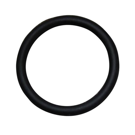 Picture of Carrier O-ring Part# KK71EW912