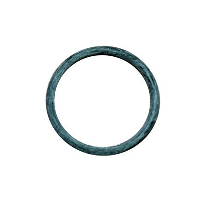 Picture of Carrier O-ring Part# KK71EW916