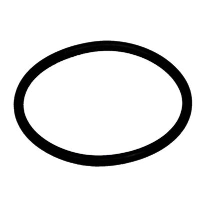 Picture of Carrier O-ring Part# KK71EW924