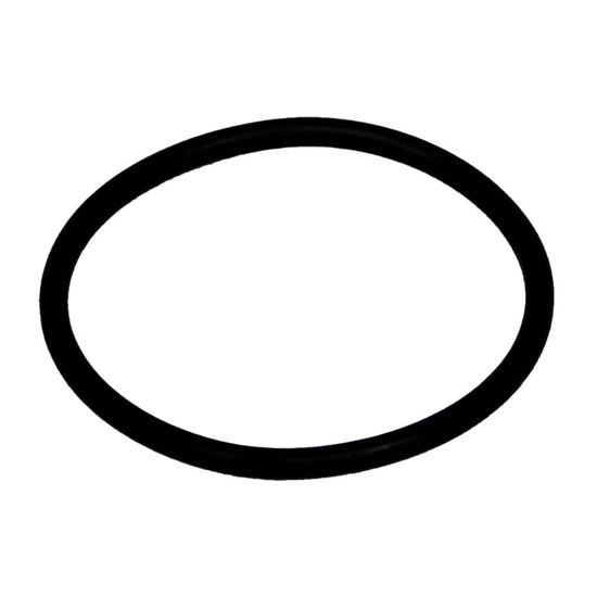 Picture of Carrier O-ring Part# KK71EW924