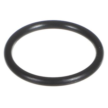 Picture of Carrier O-ring Part# KK71EW914