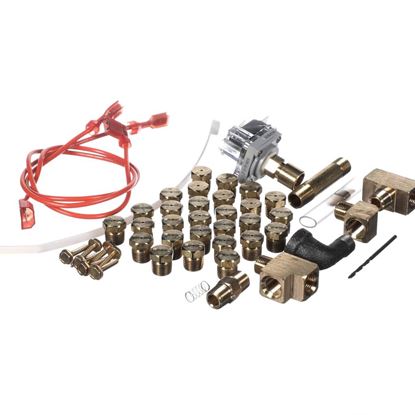 Picture of Carrier Gas Conv Kit Part# AGAGC8NPS01C