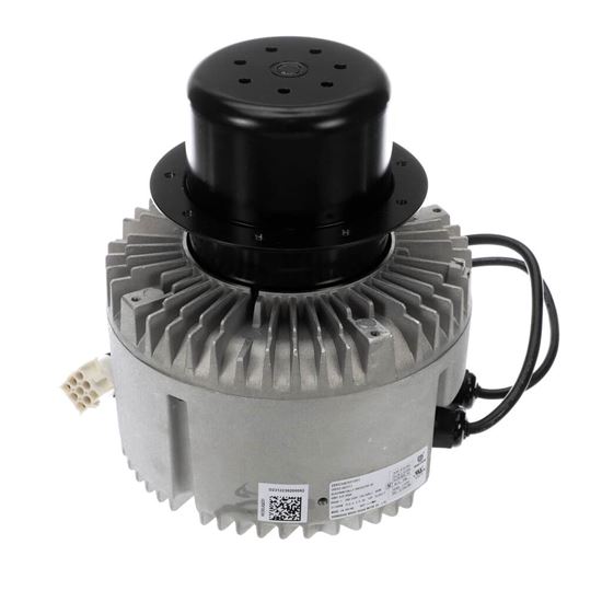 Picture of Carrier Motor Blower Part# HC52JQ231