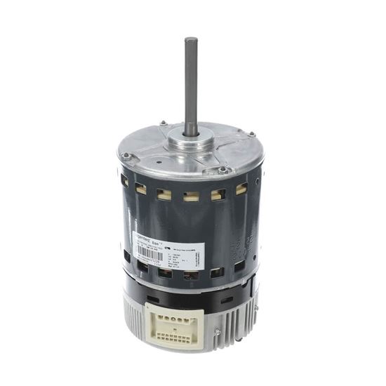 Picture of Trane Motor; Tem6c48/60 Motor Asm Part# MOT20639