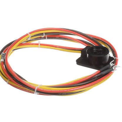 Picture of Trane Wire; Harness, Power, Compressor 2 Part# WIR12990