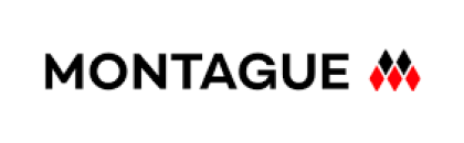 Picture for manufacturer Montague