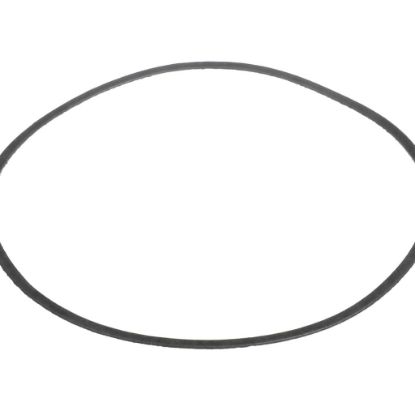 Picture of Armstrong Gasket Volute Part# 806158-000