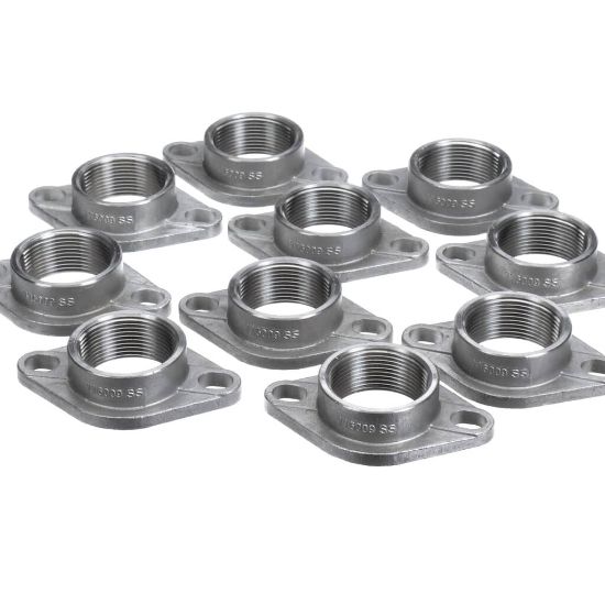 Picture of Armstrong Flange Sst 2 Npt (10Pk) Part# 816009-621