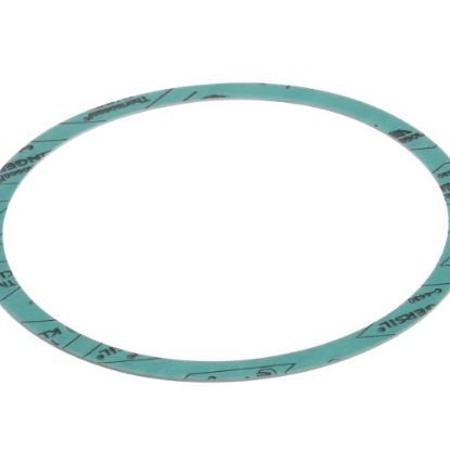 Picture of Armstrong Gasket-casing F-nitrile 6 Part# 8426401-002