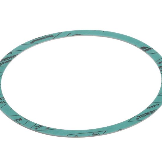 Picture of Armstrong Gasket-casing F-nitrile 6 Part# 8426401-002