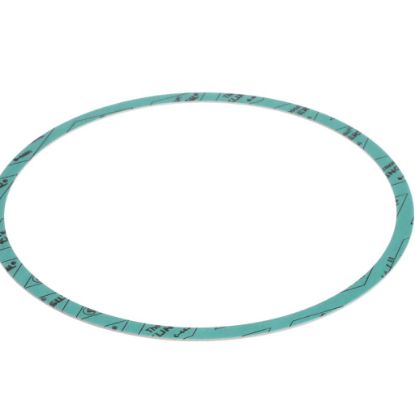Picture of Armstrong Gasket-casing F-nitrile 8 Part# 8426401-003
