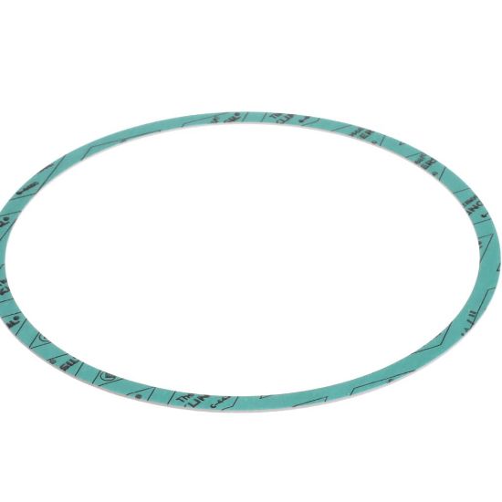 Picture of Armstrong Gasket-casing F-nitrile 8 Part# 8426401-003