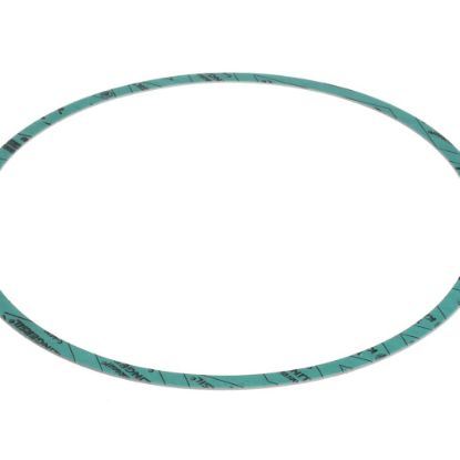 Picture of Armstrong Gasket-casing F-nitrile 10 Part# 8426401-004