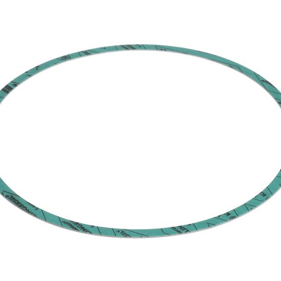 Picture of Armstrong Gasket-casing F-nitrile 10 Part# 8426401-004