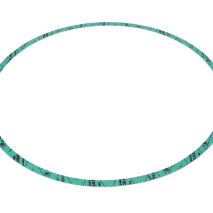 Picture of Armstrong Gasket-casing F-nitrile 13 Part# 8426401-005