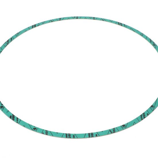 Picture of Armstrong Gasket-casing F-nitrile 13 Part# 8426401-005