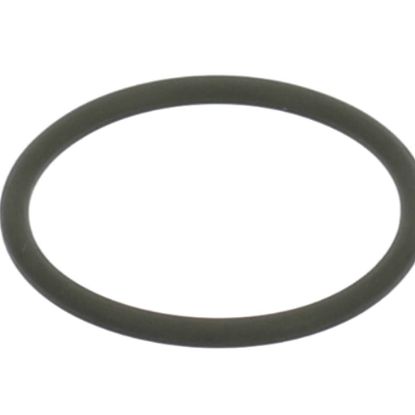 Picture of ClimateMaster O-ring Nexus Or-un125 For 3/4 Part# 29B0016N02