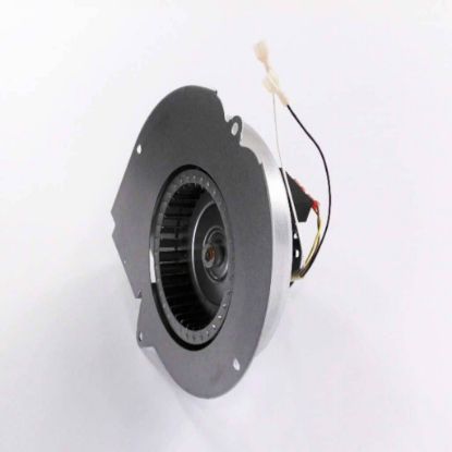 Picture of Goodman Motor Vent 80% Part# 0131M00002PSP