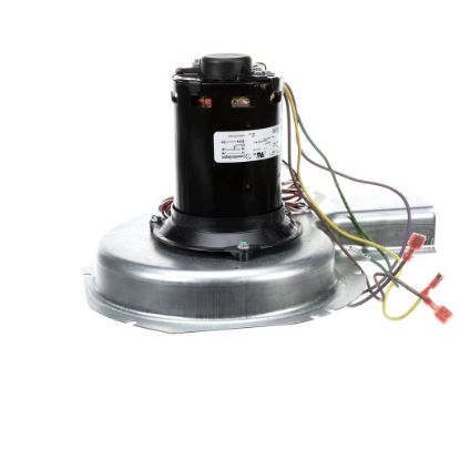 Picture of International Comfort Products Blw Asy (Idf) 230V 1 Part# 1175978