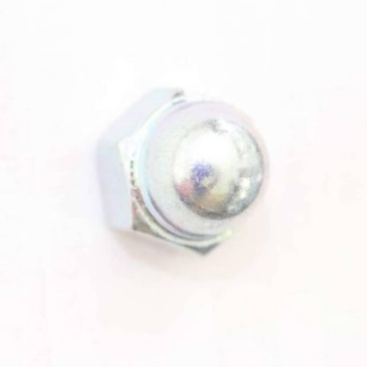 Picture of Panasonic Nut Part# FFV7020011S