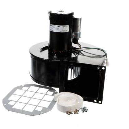 Picture of Raypak Blower Motor Assembly Part# 007413F