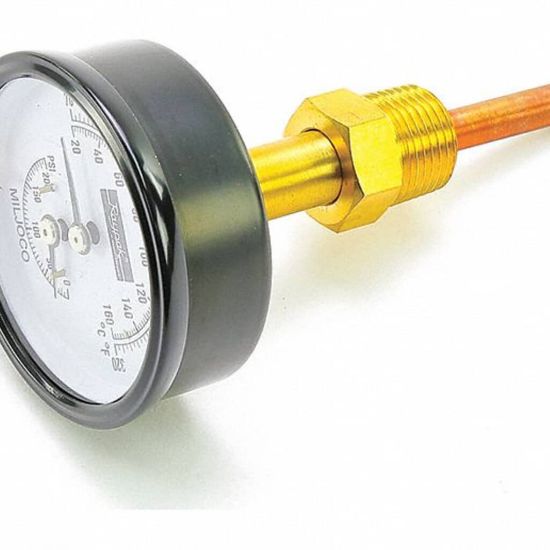 Picture of Raypak Temp/pressure Gauge Part# 007399F