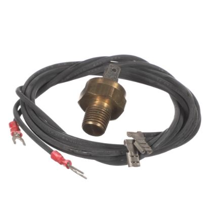 Picture of Raypak Hi Limit 44T31 Part# 600893B