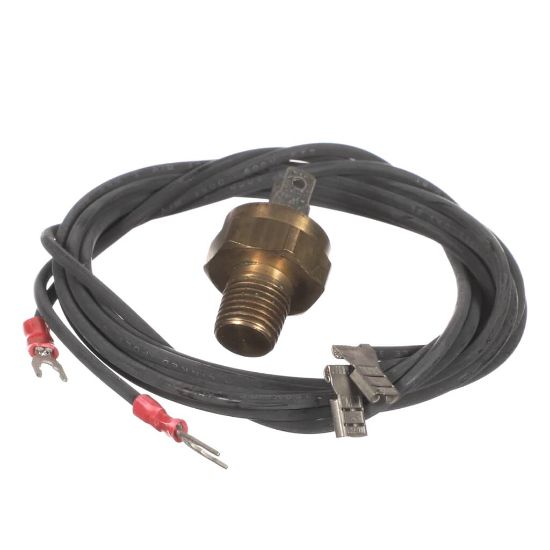 Picture of Raypak Hi Limit 44T31 Part# 600893B