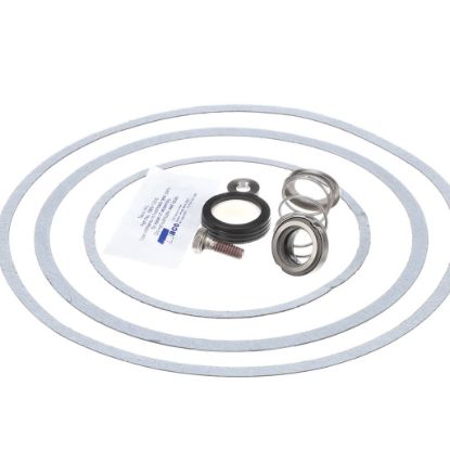 Picture of Raypak Pump Seal Part# 950388F
