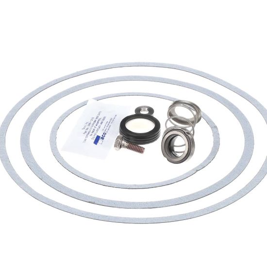 Picture of Raypak Pump Seal Part# 950388F