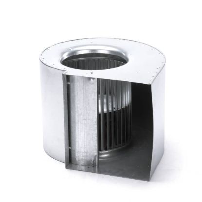 Picture of Reznor Class Ii Blower W/wheel + Hsng Part# 123212