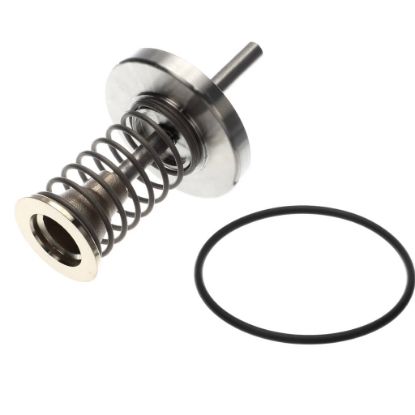 Picture of Watts Fourth Check Repair Kit For 2 1/2 To 3 I Part# 794014